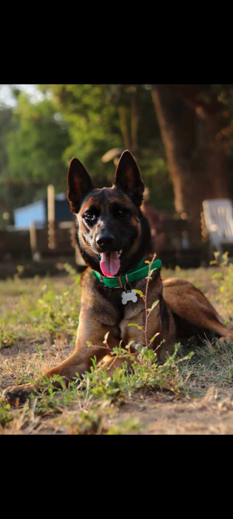 Timpesta de la balastiere du veron